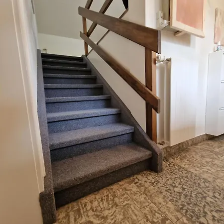 Peaceful Tiny House Near Forest 펜션 로스체처버그