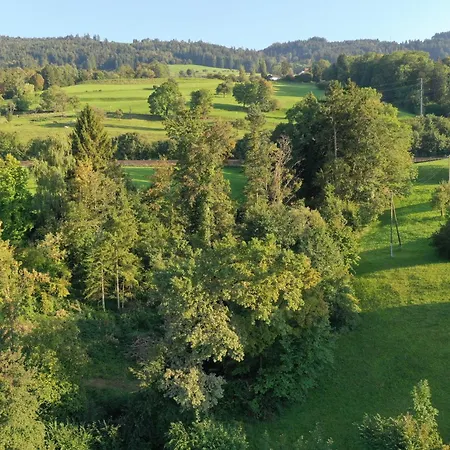 Peaceful Tiny House Near Forest Dom wakacyjny