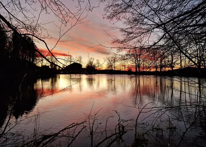 Peaceful Tiny House Near Forest Dom wakacyjny Rorschacherberg