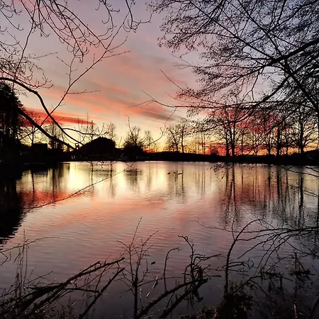 Peaceful Tiny House Near Forest Nyaraló Rorschacherberg